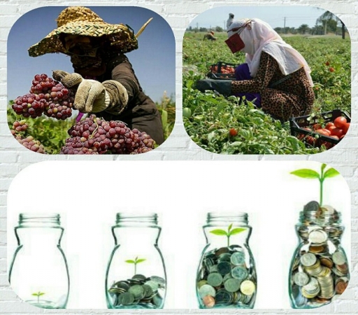 برگزاری رویدادی برای تمرکز استارتآپها بر مناطق روستایی
